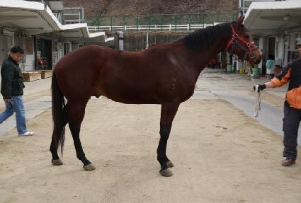 �ݾƷ��ǵ� ����