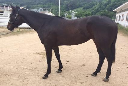 ���ð��� ����