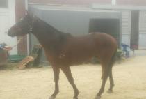 ���±⸶ (WIRYEOKGIMA) ����