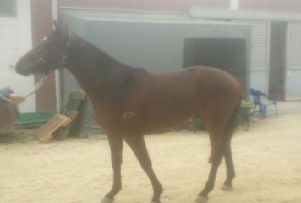 ���±⸶ ����