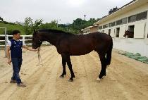 �ݺ�ó�� (GEUMBITCHEOREOM) ����