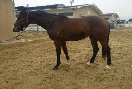 ����ź ����