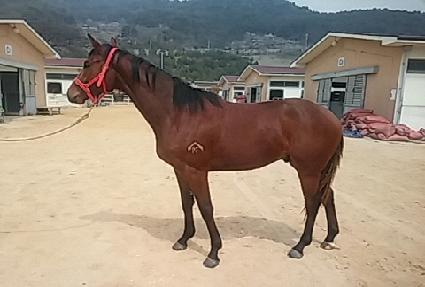 õ��� ����