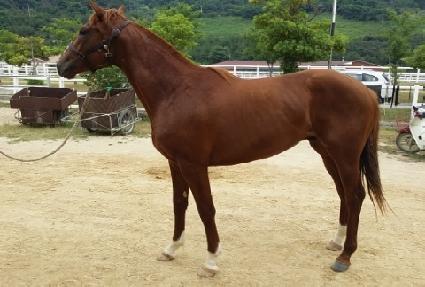 �����ǽ��� ����