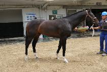 �����ī������ (SNOW CHARISMA) ����