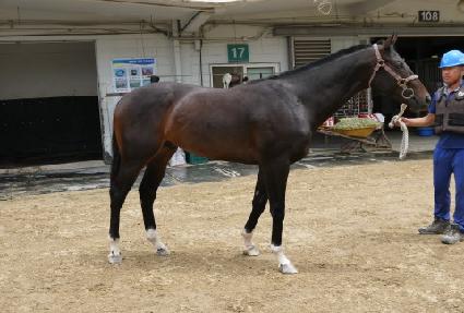 �����ī������ ����