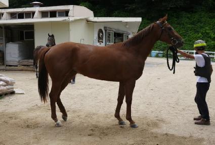 �ڵ�Ƿ��� ����