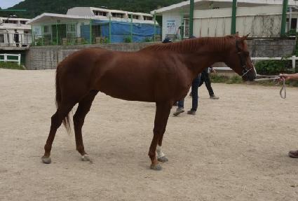 ����Ƽ�� ����