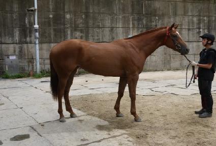 ��籸���� ����