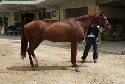 �Ϳ�Ĺ ����