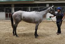 ȭ��Ʈ�� (WHITE ONE) ����