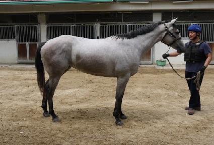 ȭ��Ʈ�� ����