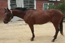 �����ǽ� (JILJUUI SIN) ����