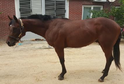 �����ǽ� ����