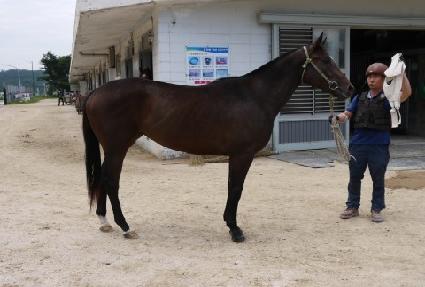 ������¡��Ÿ ����