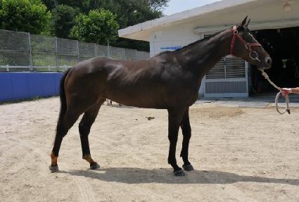 ���������� ����