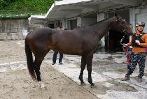 ũ���̺��� (CROWN ME BOSS) ����