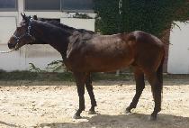 �������̽� (HIDDEN CHOICE) ����