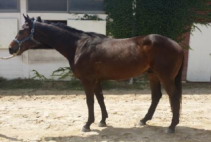 �������̽� ����