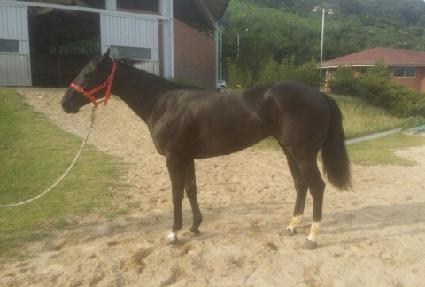 ��ũ�����ҵ� ����