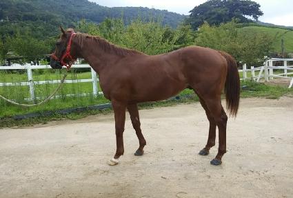 �۷θ��ƾ��� ����