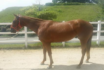 ��ӽ�Ʈ���� ����