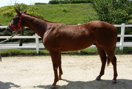 ��ư�� ����