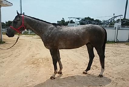 ���Ϻ��� ����