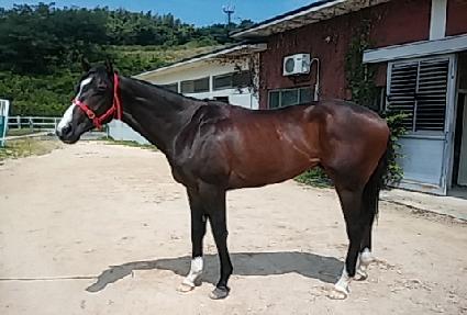 ��״�� ����