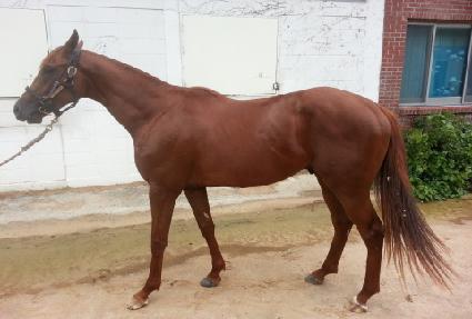 �׸������� ����