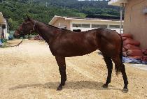 ��Ŀ (TUCKER) ����