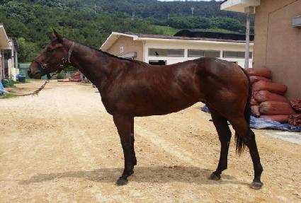 ��Ŀ ����