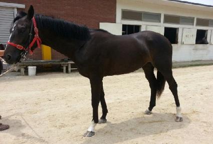 ���� ����