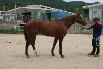 �ڸ������� (KOREA JEONGSANG) ����