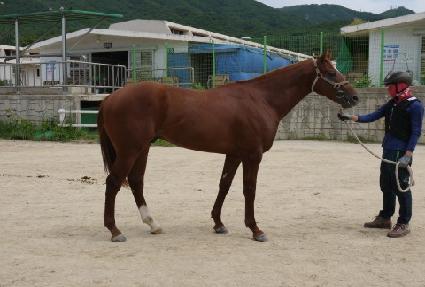 �ڸ������� ����