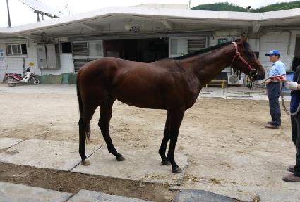 ���޷� ����