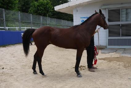 ����Ŀ ����