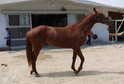 ž�µ��� ����