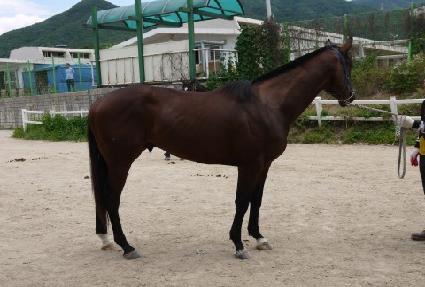 Ƽ��ž ����