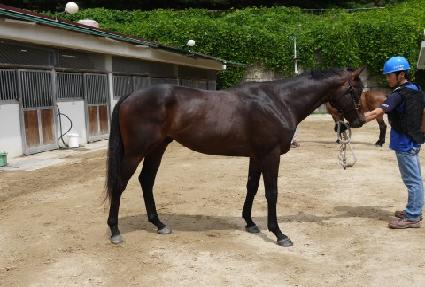 ���´뼼 ����