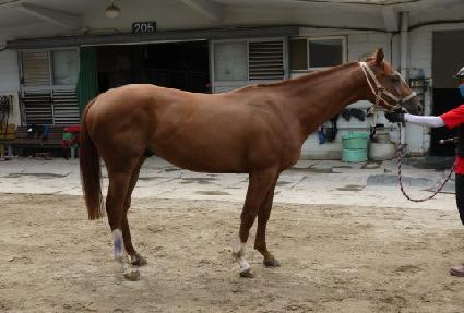 Ʈ���û��̴� ����