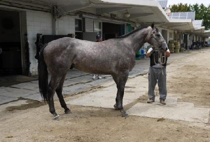 �̼ҿ��� ����