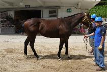 �ְ����� (CHOEGANG BEODEUL) ����