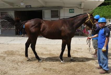 �ְ����� ����