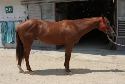 ���̿��� ����