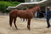 ���ѿ��� (DAEHAN YEONGUNG) ����