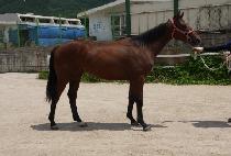 ����ĥ�� (GWANGBOK CHILSIP) ����