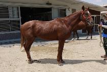 �ô�Ҹ� (SIDAE SOMANG) ����