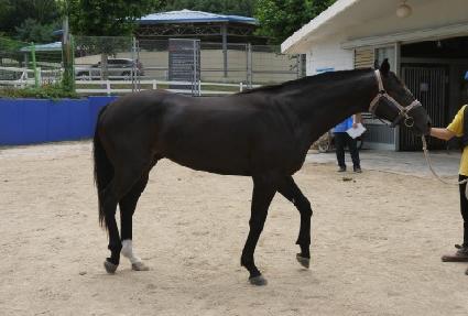 ���θ��׿콺 ����