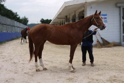 �Ƚ�Ÿ�� ����